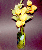 Vase aus einer Glasflasche basteln