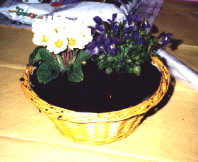 Blumenkorb fr Ostern basteln