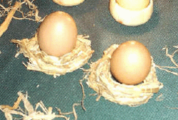 Ostern Eierbecher aus Stroh basteln