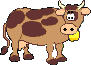 Kuh cow Bild GIFs