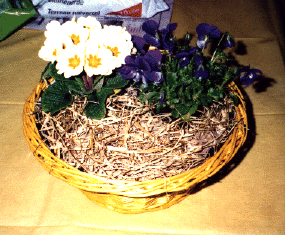 Blumenkorb für Ostern basteln