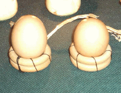 Eierbecher aus Holzringen basteln