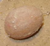 Osterei mit Sand basteln