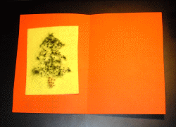 Weihnachtskarte mit Filz-Tannenbaum basteln